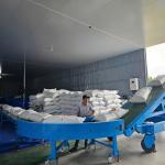 Dây chuyền chế biến dừa tươi