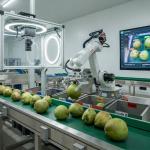 Dự án phân loại bằng Robot và Camera