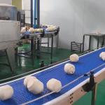 Dây chuyền chế biến dừa tươi